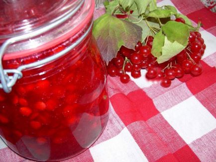 Jam din viburnum este beneficiul și răul de gem, deserturi și produse de patiserie