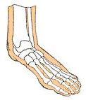 Instalații Varus și valgus de semne de stop și diferențe în diagnostic și tratament, selecție