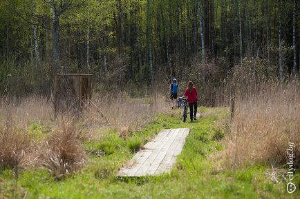Traseu de ciclism pentru următoarele sărbători din pădurea Nabobok, revista despre Minsk