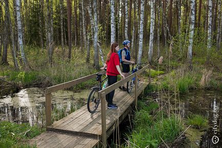 Traseu de ciclism pentru următoarele sărbători din pădurea Nabobok, revista despre Minsk