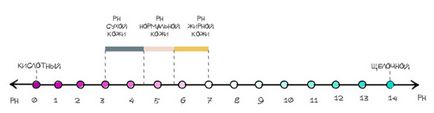 Чарівні 5, 5