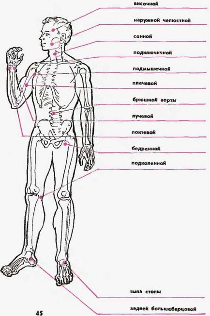 Temporare de manevră - stadopedia