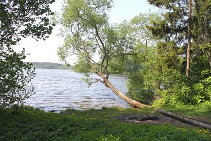 Всі пляжі Мінська водосховище вяча