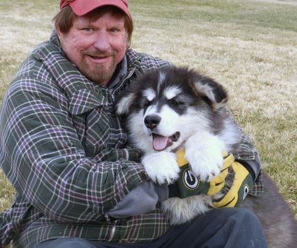 Caracteristicile catelusilor malamute