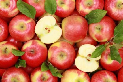 Яблука користь і шкода для здоров'я найвідомішого фрукта в росії