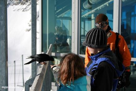 Jungfraujoch, călătorim împreună