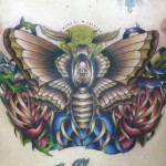 Înțeles tattoos of moths