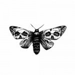 Jelentése pillangó tetoválás
