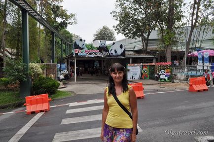 Állatkert Chiang Mai aranyos panda és sok más