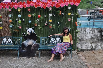 Állatkert Chiang Mai aranyos panda és sok más