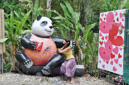 Állatkert Chiang Mai aranyos panda és sok más