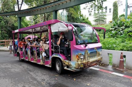 Állatkert Chiang Mai aranyos panda és sok más