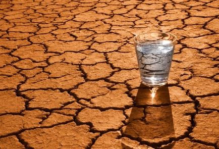 13 Corpul semnalează că bei suficientă apă