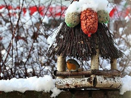 20 Відмінних ідей пташиних годівниць