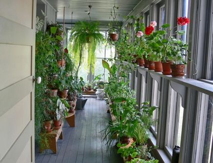 20 надихаючих ідей оформлення зимового саду, який буде вас радувати цілий рік