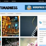 30 Дивних тим класу преміум для wordpress, все про створення сайтів