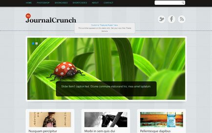 30 Amazing teme clasa premium pentru wordpress, toate despre crearea de site-uri web