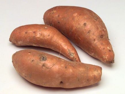 Африканську картоплю - ямс - Кам'янське (дніпродзержинськ)