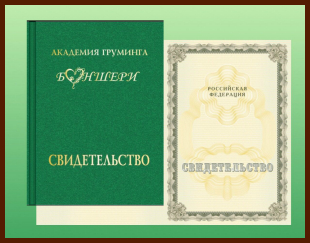 Академія грумінг боншері - навчання професійному і салонному грумингу - школа грумінг боншері