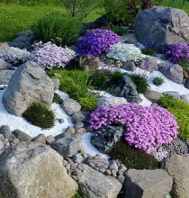 Альпійська гірка, квіти в будинку і саду