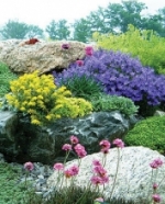 Альпійська гірка, квіти в будинку і саду