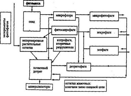 Антропогенний вплив на грунт - екологія