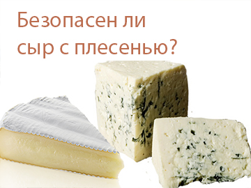 Чи безпечний сир з цвіллю шкідливий або корисний