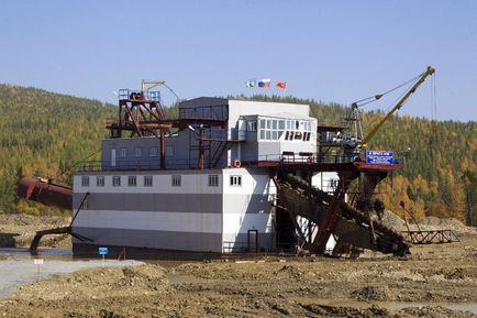 Gerinctelen „Szibéria elhelyező arany mindenütt