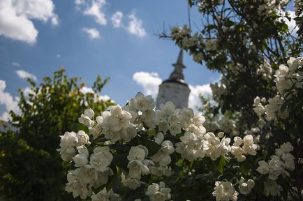 Bobrenev teotokos-mănăstirea de Crăciun, photoblog alexandra harya