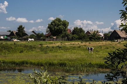 Бобренев богородиці-різдвяний монастир, фотоблог олександра зайцева