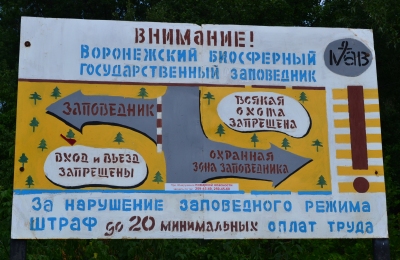 Beaver pepinieră și muzeu de natură (rezervația biosferei Voronezh) - articol - recreere cu copii
