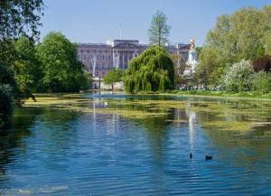 Palatul Buckingham din Londra