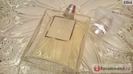 Chanel no 19 poudre - «- щастя сиділо в ній пухнастим кошеням - (з