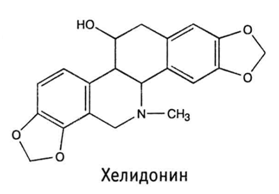 Чистотіл великий - склад, властивості, застосування