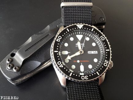 Ce să alegeți Seiko skx007 scafandru vs citit promaster ny0040