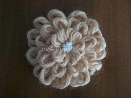 Flori de crizanteme pe o lupă (împărțim firul departe) Crizanteme flori pe loum