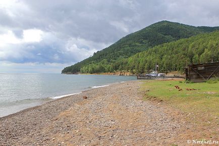 Село великі коти на Байкалі