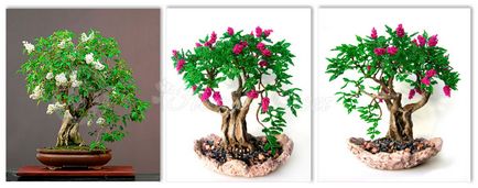 Copacii din bonsai margele - filosofie, istorie, perspectiva lumii, floristica margele de la Anna Masala