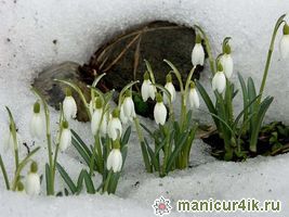 Дизайн нігтів з бульонкамі