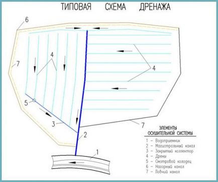 Дренаж ділянки своїми руками на глинистих ґрунтах з високим рівнем води (відео схема)