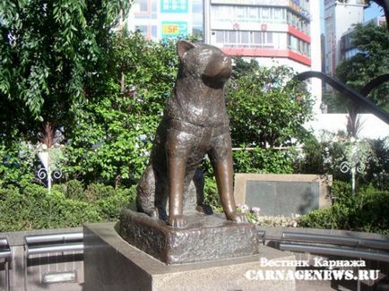 Друзям історії і пам'ятники, присвячені собакам