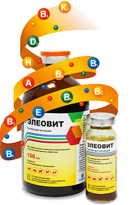 Eleobit 100 ml complex de vitamine pentru câini și pisici ascant, cumpăra în vrac