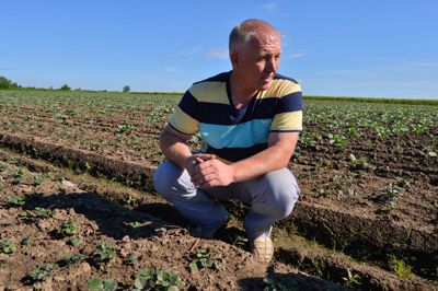 Farmer kanikurgana szerzett magának eper hobby 1 (kínai) Farmer kanikurgana szerzett magának eper hobbi 1