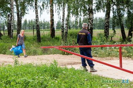 Фоторепортаж зі збору полуниці в радгоспі імені Леніна, новини