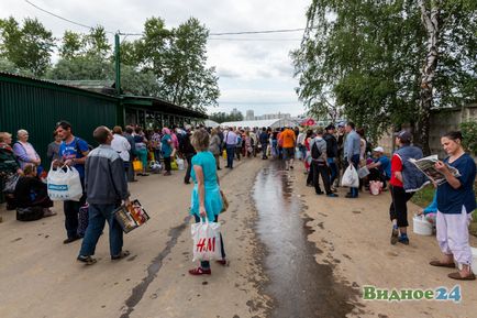 Фоторепортаж зі збору полуниці в радгоспі імені Леніна, новини