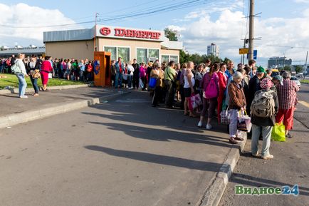 Фоторепортаж зі збору полуниці в радгоспі імені Леніна, новини
