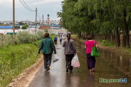 Photoreport din colecția de căpșuni din statul Lenin, știri