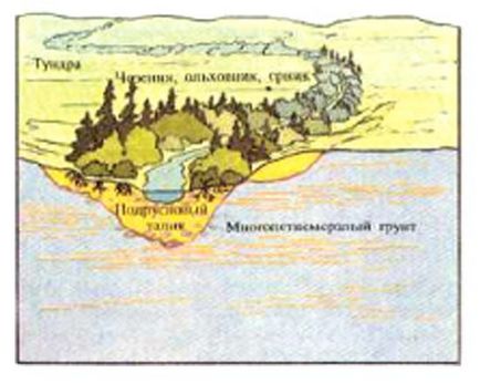 Galeria de păduri geografice geografice