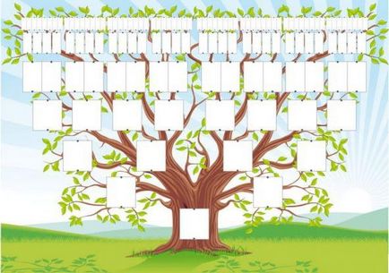 Генеалогічне дерево своїми руками відбір інформації, правильна побудова, ідеї оформлення