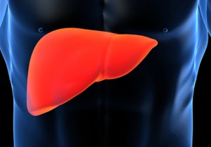 Hepatoprotectors, biopitanie - site szerelmeseinek egészséges életmód